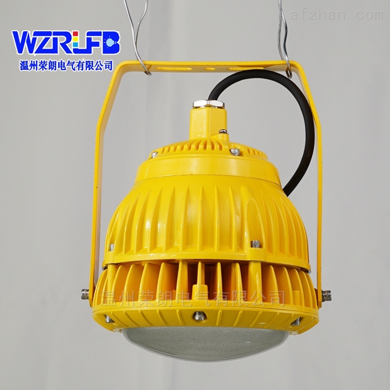 RLB155防爆LED投光灯工厂防爆灯100W照明灯