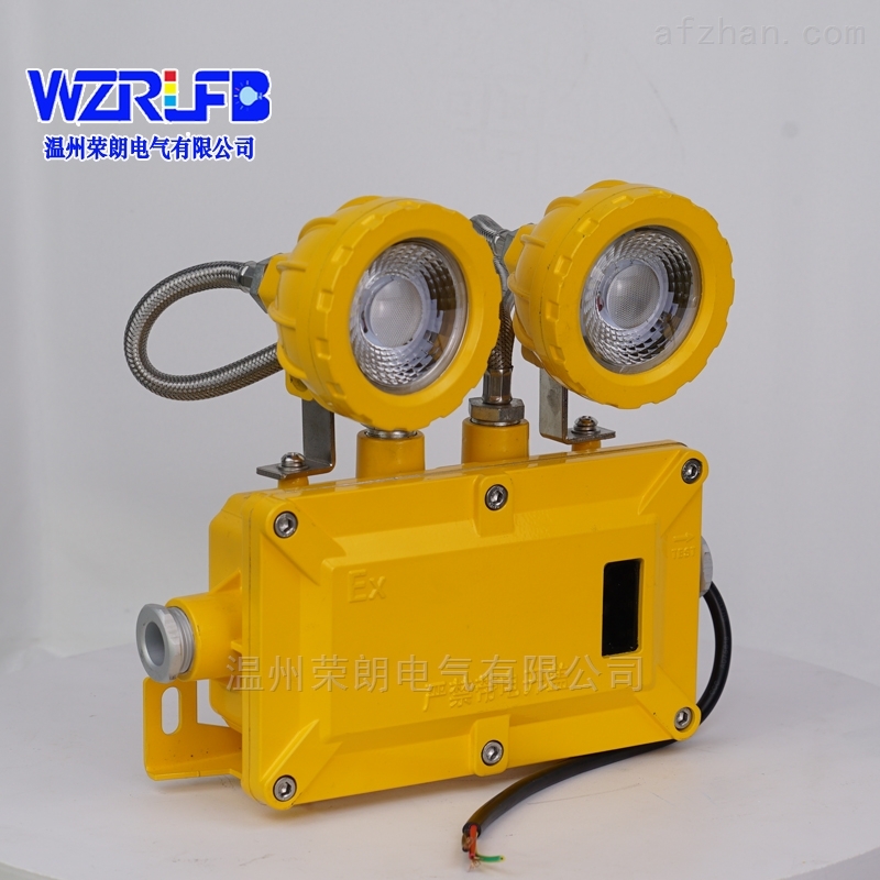 BXW6229节能长寿防爆应急工作灯双头应急灯