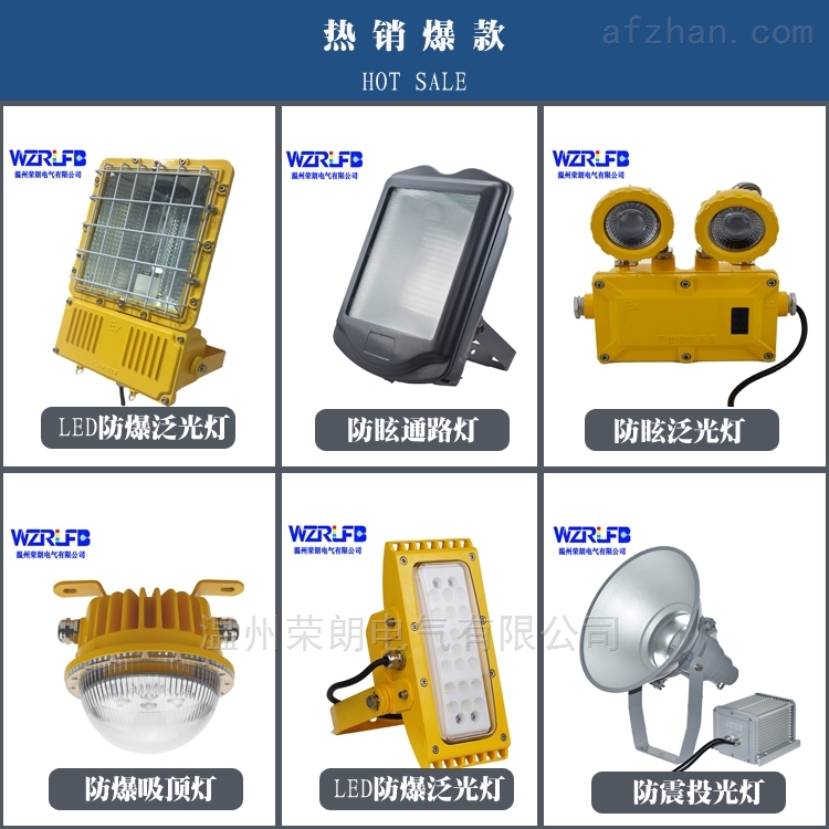 BZD118-I高效节能防爆灯 40WLED防爆泛光灯